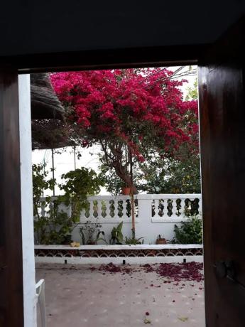 Casa independiente photo 2