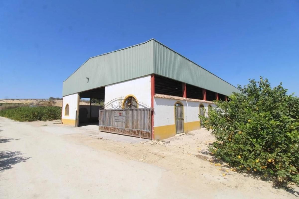 Продажа загородного участка в  Bigastro , Бигастро photo 5