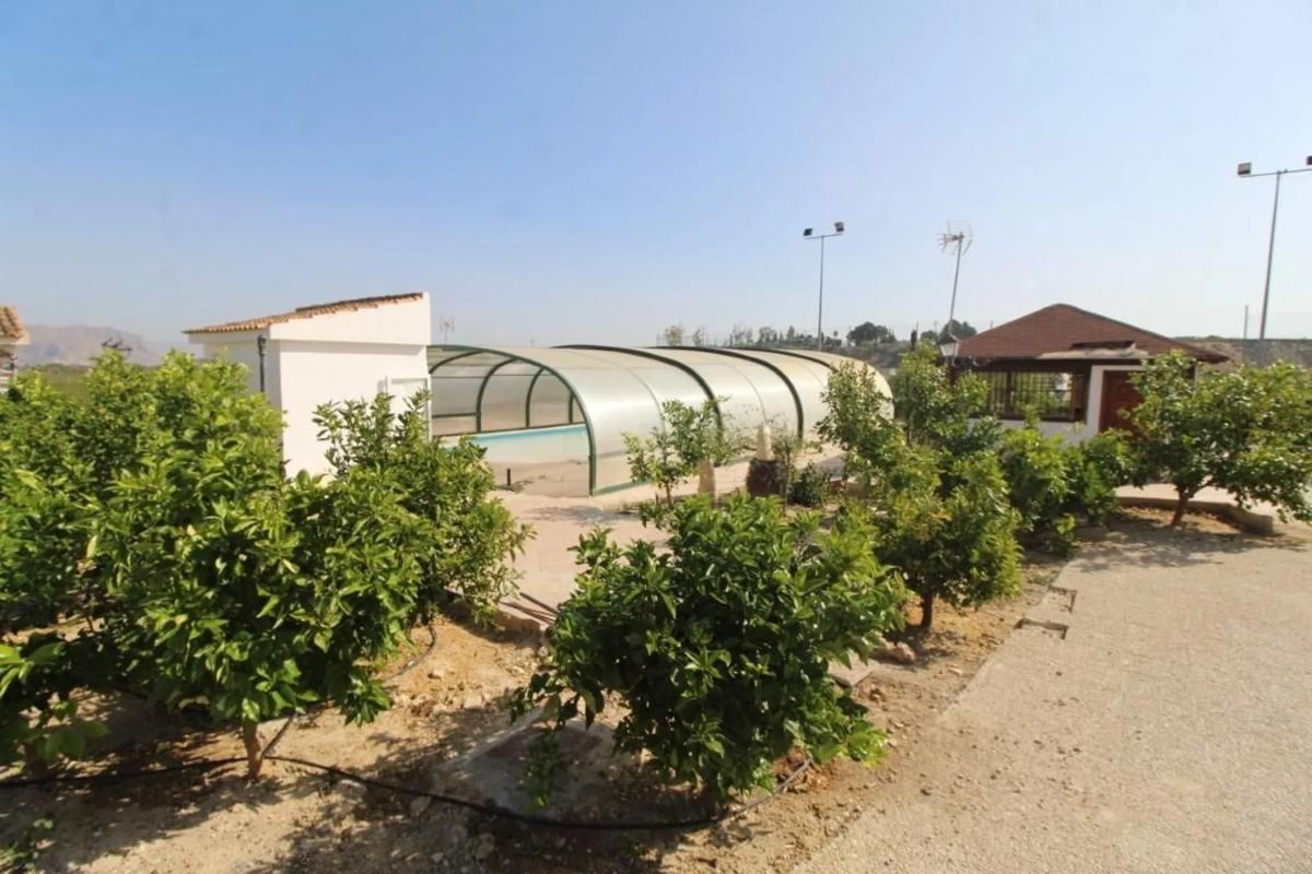 Продажа загородного участка в  Bigastro , Бигастро photo 5