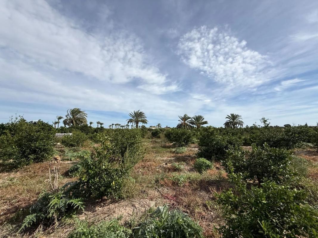 Properties for sale and rent in Spain photo 4