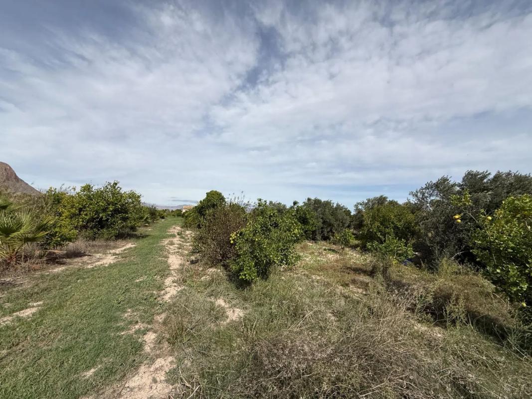 Properties for sale and rent in Spain photo 5