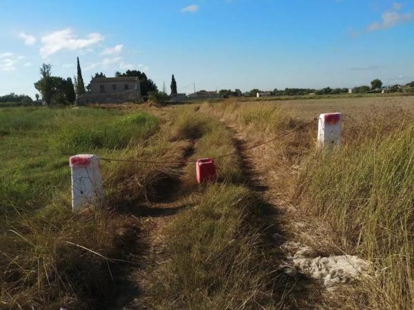 Rustic farm for sale in  Vereda los Cañizares , Callosa de Segura photo 2