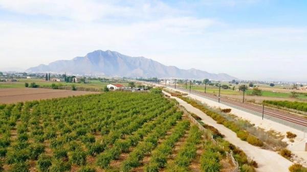 Rustic farm for sale in  Vereda los Cañizares , Callosa de Segura photo 3