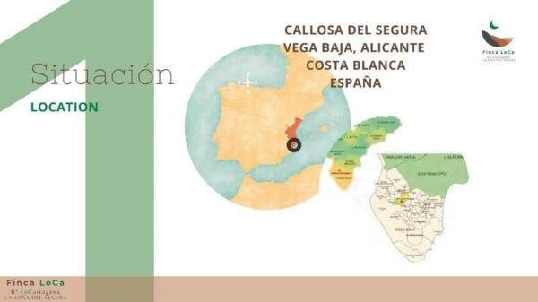 Rustic farm for sale in  Vereda los Cañizares , Callosa de Segura photo 4