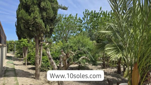 Rustic farm for sale in  Callosa de Segura , Callosa de Segura photo 2
