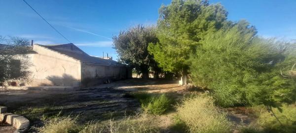 Finca rústica en venta en Catral , Catral photo 1