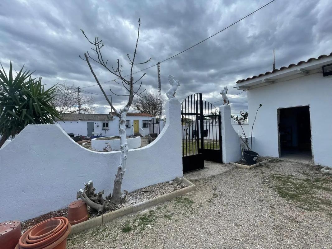 Venta de finca rústica en  Calle Santa Águeda , Catral photo 3
