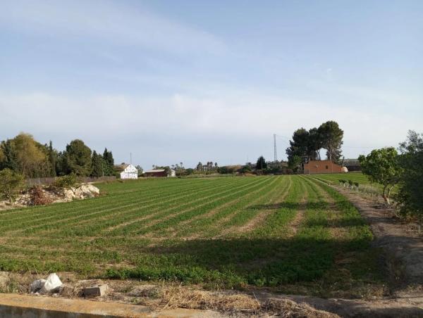 Finca rústica en venta en  Calle los depositos, 1 , Daya Nueva photo 2