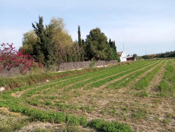 Finca rústica en venta en  Calle los depositos, 1 , Daya Nueva photo 3