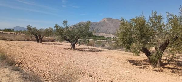 Finca rústica en venta en La Murada-Los Vicentes , Orihuela photo 1