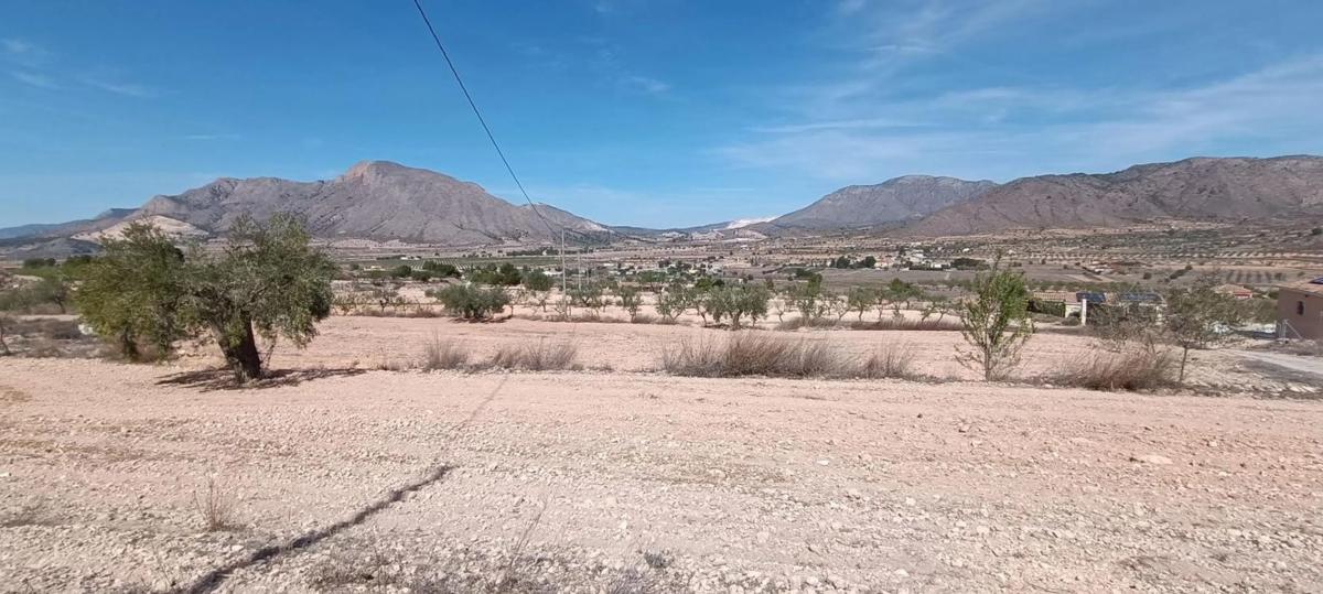 Sprzedaż działki rolnej w  La Murada-Los Vicentes , Orihuela photo 3