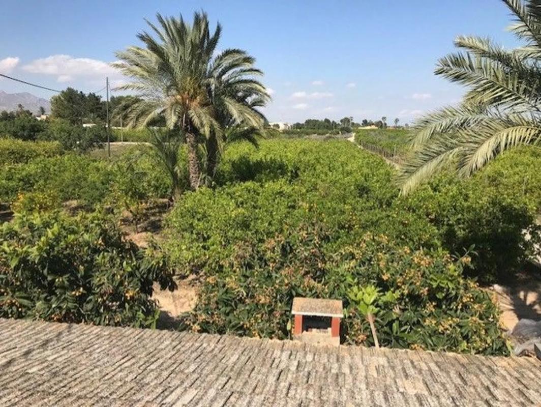 Sprzedaż działki rolnej w Lugar Murada, 365 B , Orihuela photo 5
