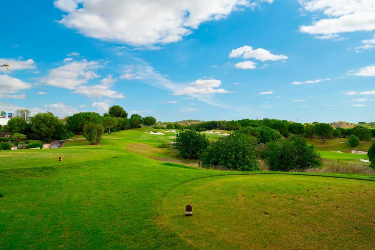 Venta de ático en Barrio Las Colinas Golf, Orihuela photo 3