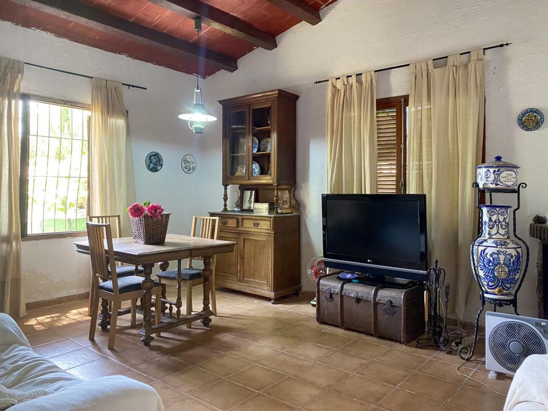 Properties for sale and rent in Spain photo 3