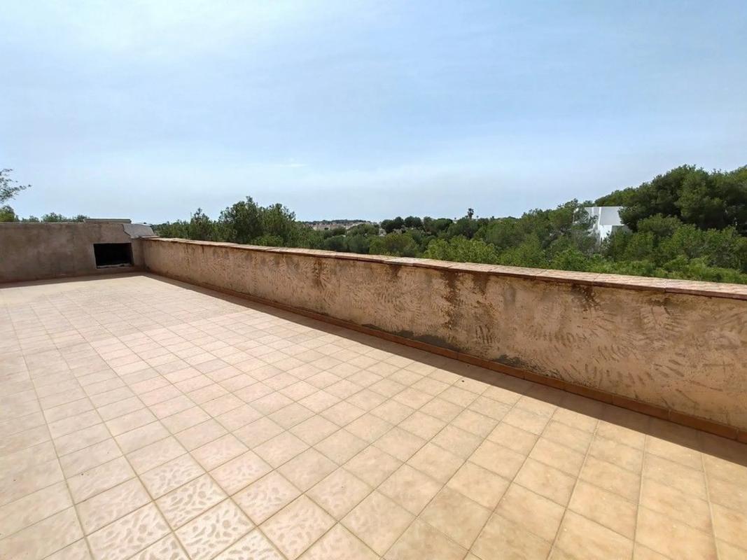 Properties for sale and rent in Spain photo 2