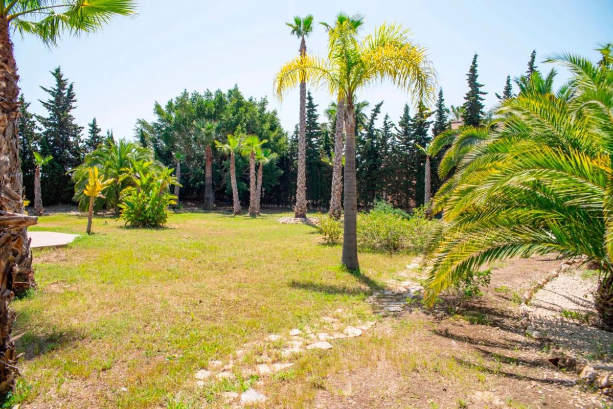 Properties for sale and rent in Spain photo 5