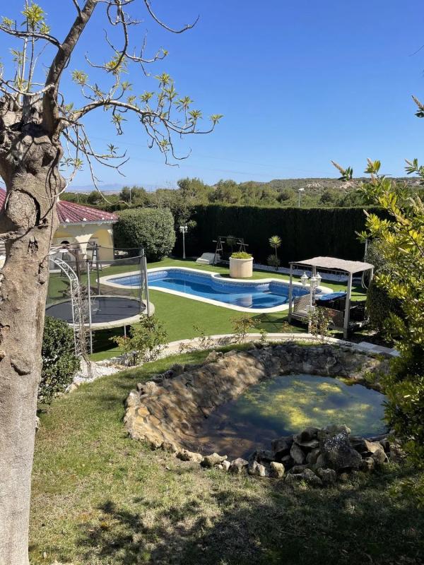 Properties for sale and rent in Spain photo 3