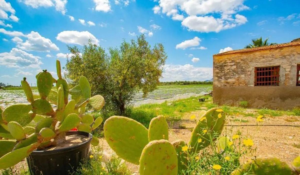 Properties for sale and rent in Spain photo 1