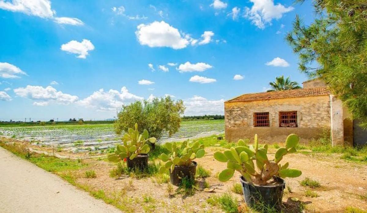 Properties for sale and rent in Spain photo 4