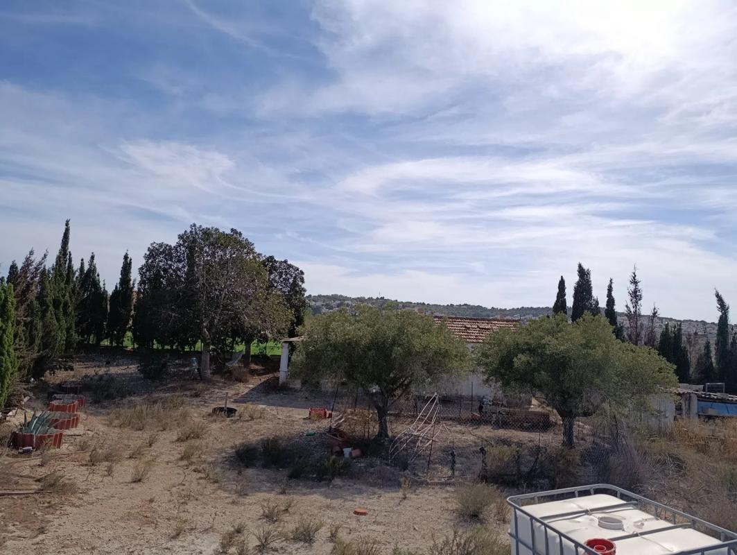 Sale of rural property in  Terreno rústico s/n , San Miguel de Salinas photo 3