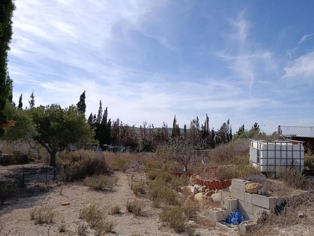 Sale of rural property in  Terreno rústico s/n , San Miguel de Salinas photo 5