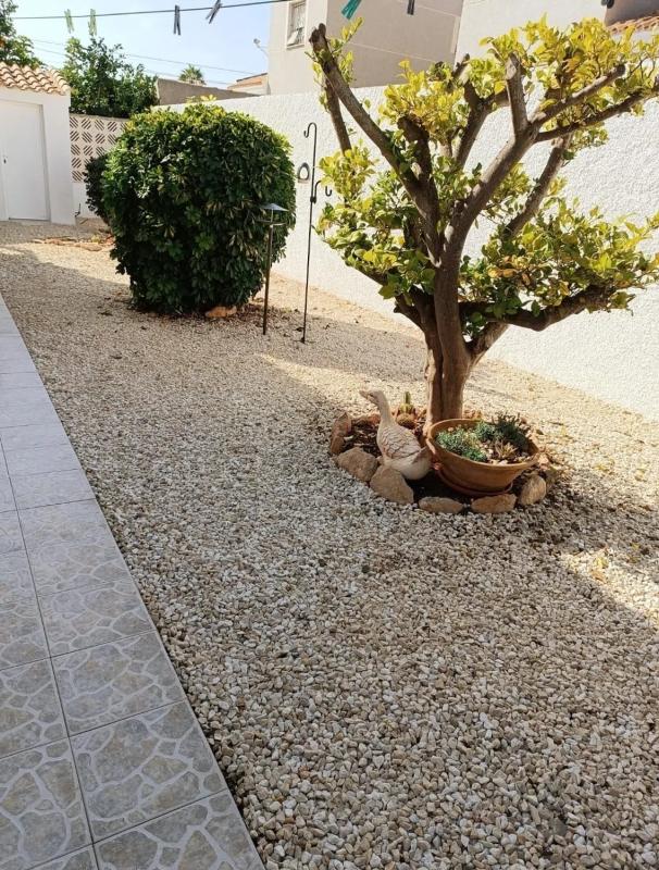 Properties for sale and rent in Spain photo 3