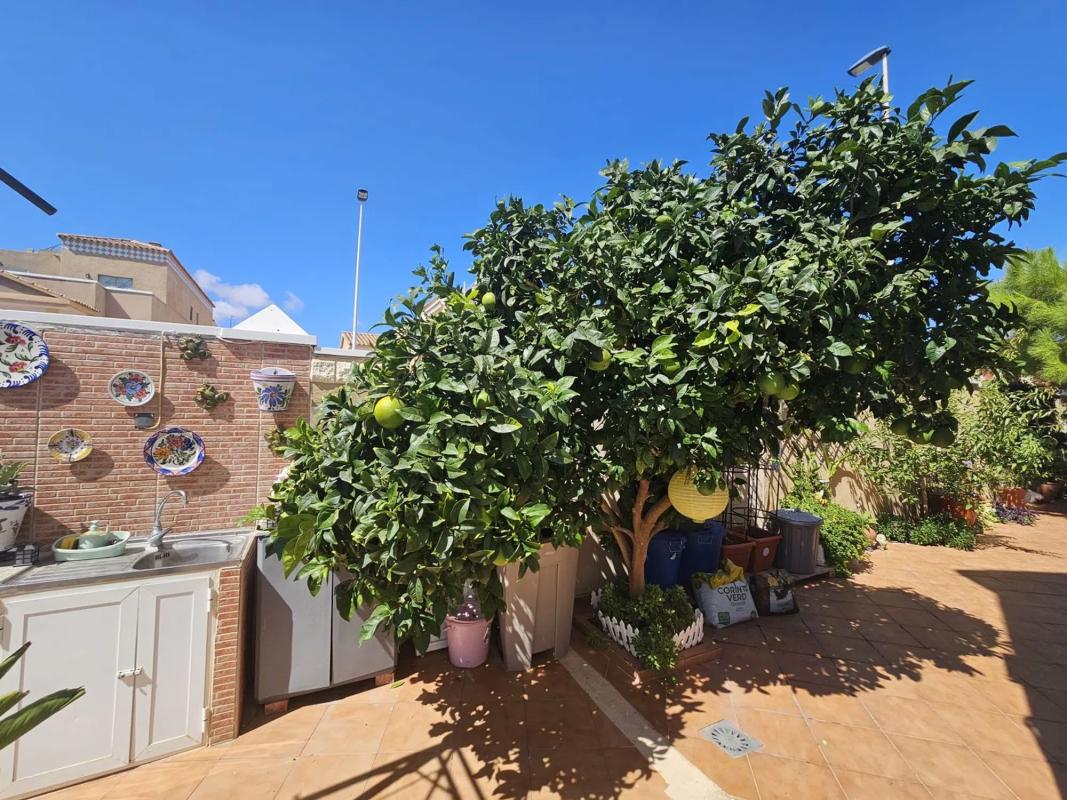 Properties for sale and rent in Spain photo 5