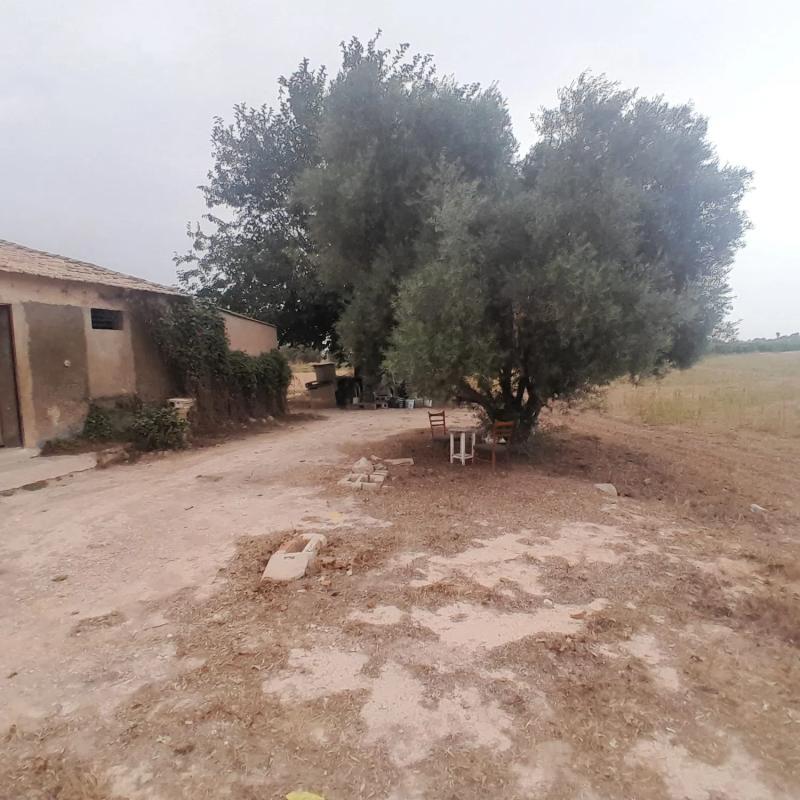 Venta de finca rústica en Calle la Bodega , Daya Nueva photo 1