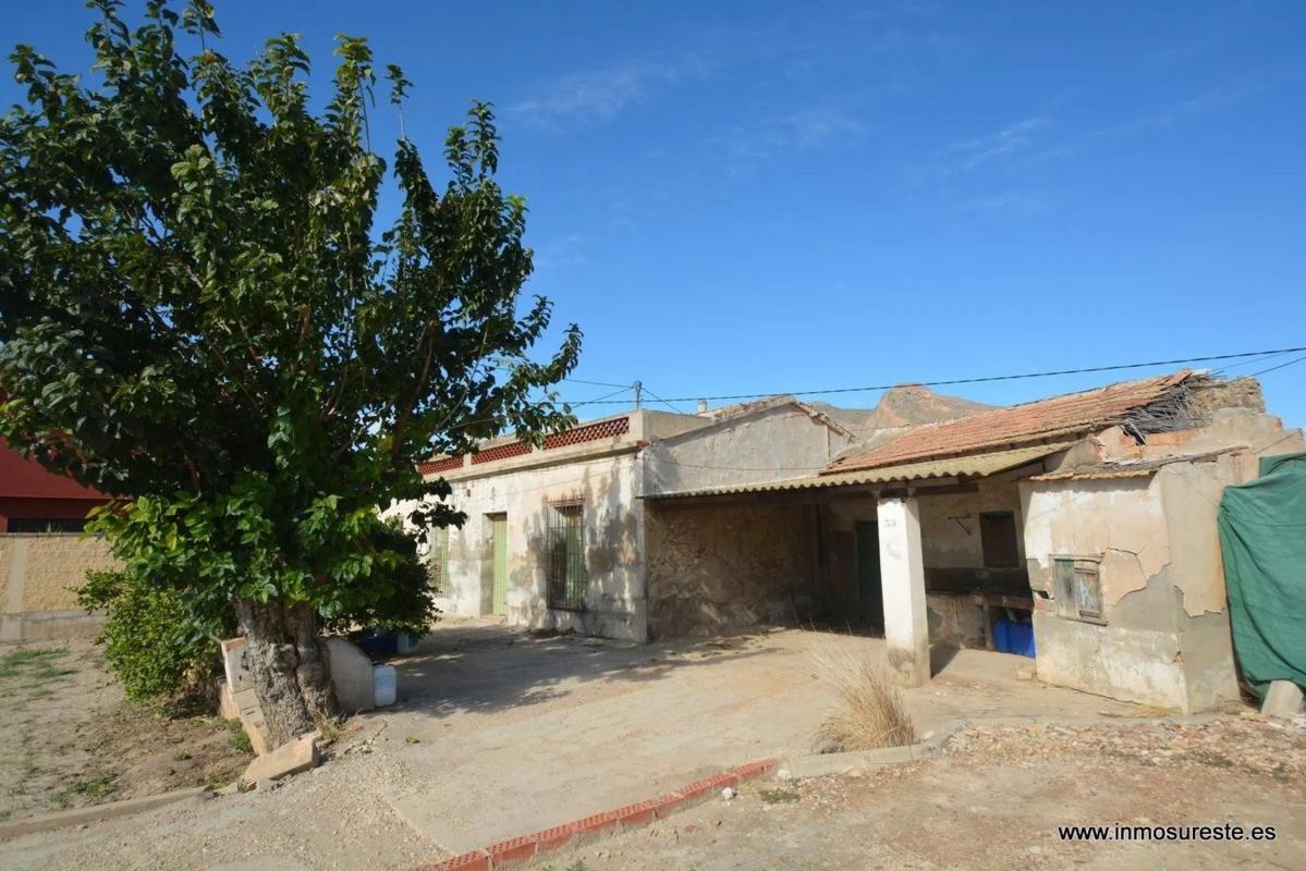Venta de finca rústica en  Molins-Campaneta-San Bartolomé , Orihuela photo 2