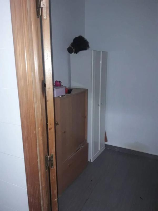 Sale of apartment in Calle Orihuela, 11, Rojales
photo 4