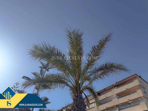 Ático en venta en  Barrio Cabo Cervera, Torrevieja photo 4