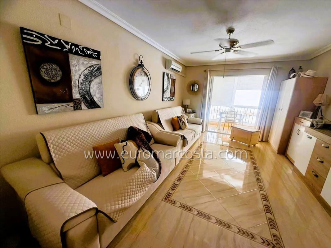 Venta de estudio en Avenida Bélgica, Torrevieja photo 3