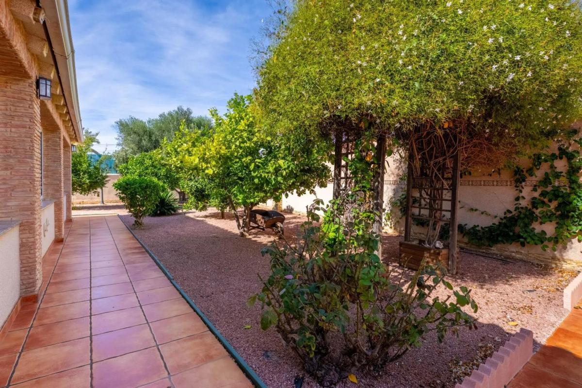 Properties for sale and rent in Spain photo 5