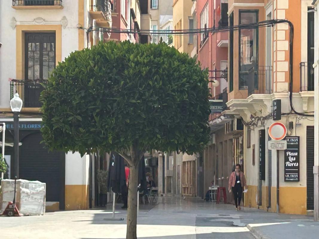 Properties for sale and rent in Spain photo 4