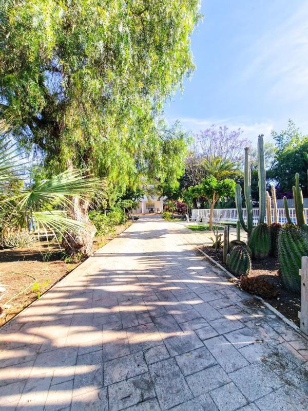 Properties for sale and rent in Spain photo 5