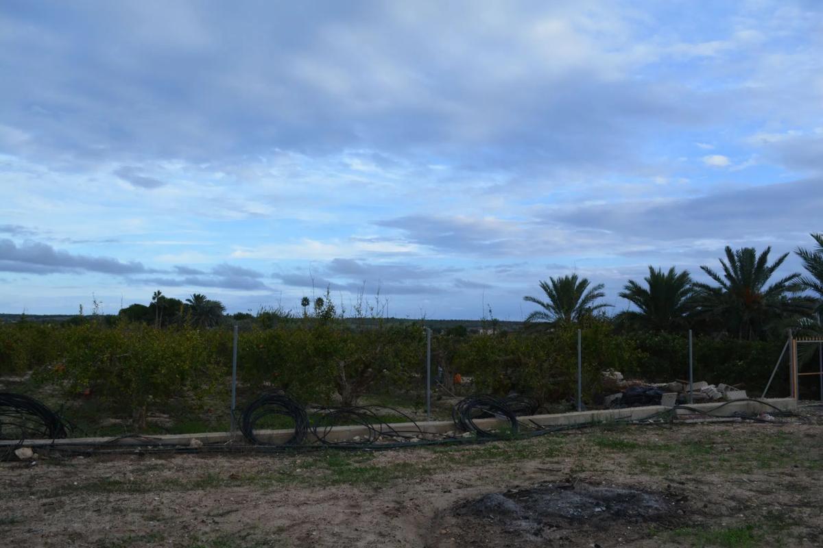 Properties for sale and rent in Spain photo 4