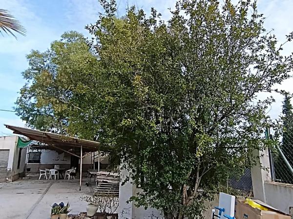Finca rustykalna na sprzedaż w  Cañada del Fenollar , Cañada del Fenollar photo 4