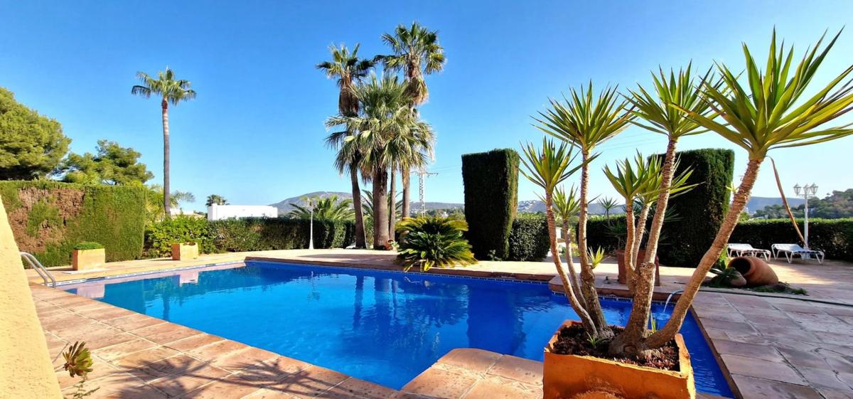 Properties for sale and rent in Spain photo 2