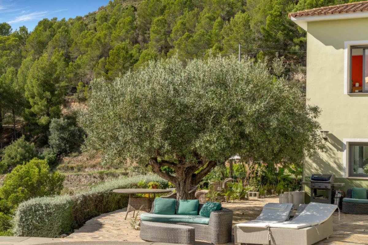 Properties for sale and rent in Spain photo 5