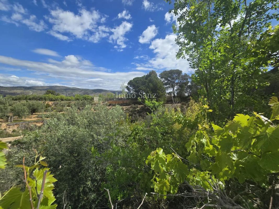 Properties for sale and rent in Spain photo 5