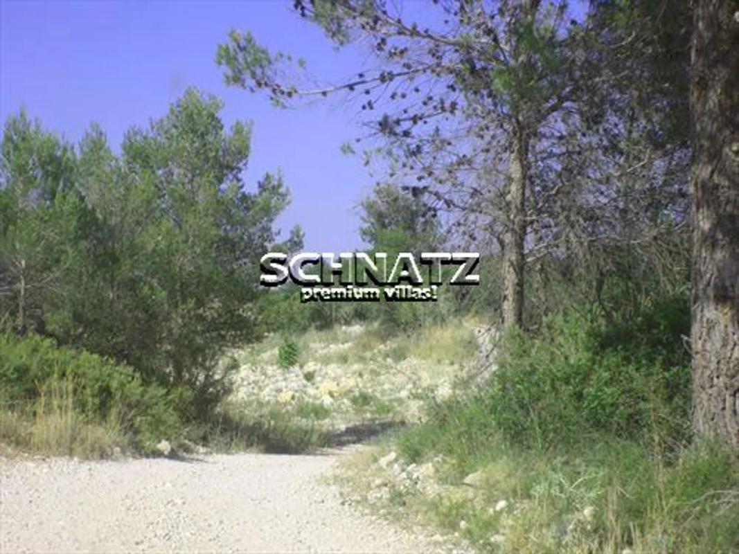 Venta de finca rústica en Orba , Orba photo 2