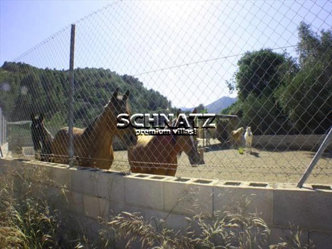 Venta de finca rústica en Orba , Orba photo 5