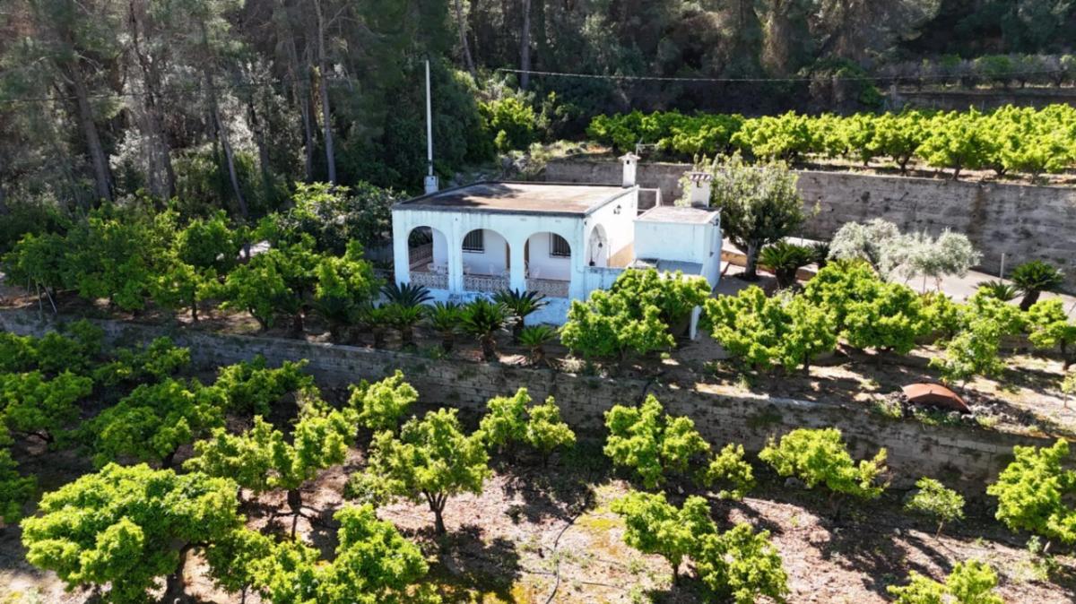 Sale of rural property in Avenida de Pego , Pego photo 1