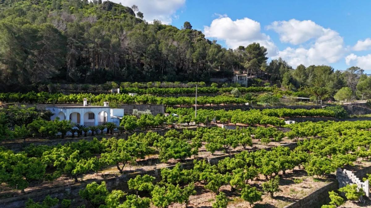 Sale of rural property in Avenida de Pego , Pego photo 2