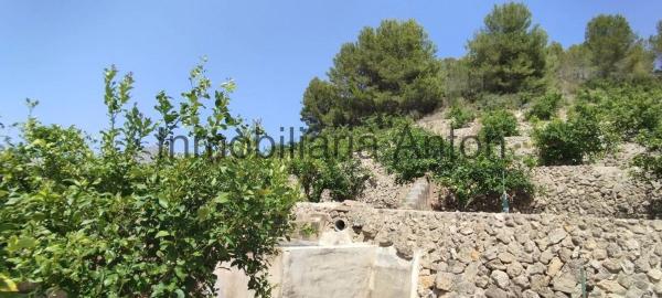 Finca rústica en venta en Callosa d'En Sarria , Callosa d En Sarria photo 1