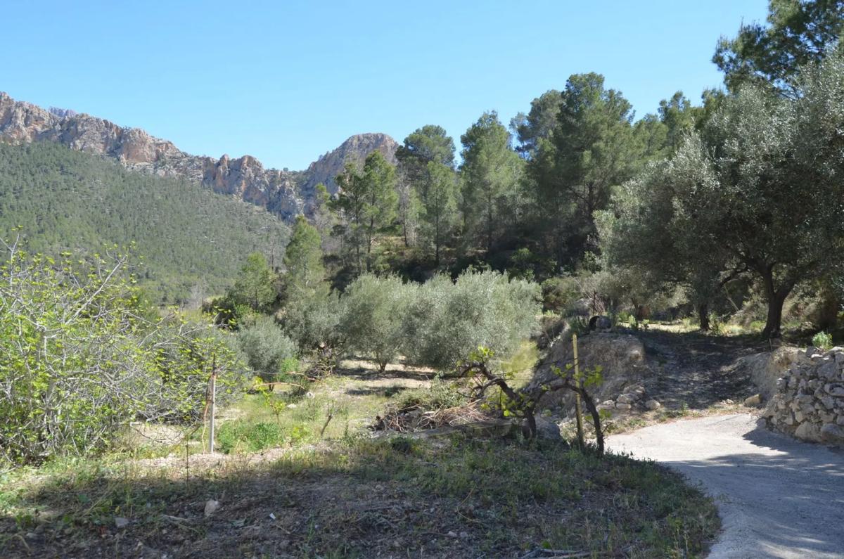 Sale of rural property in Partida alt de charquer s/n , Sella photo 4