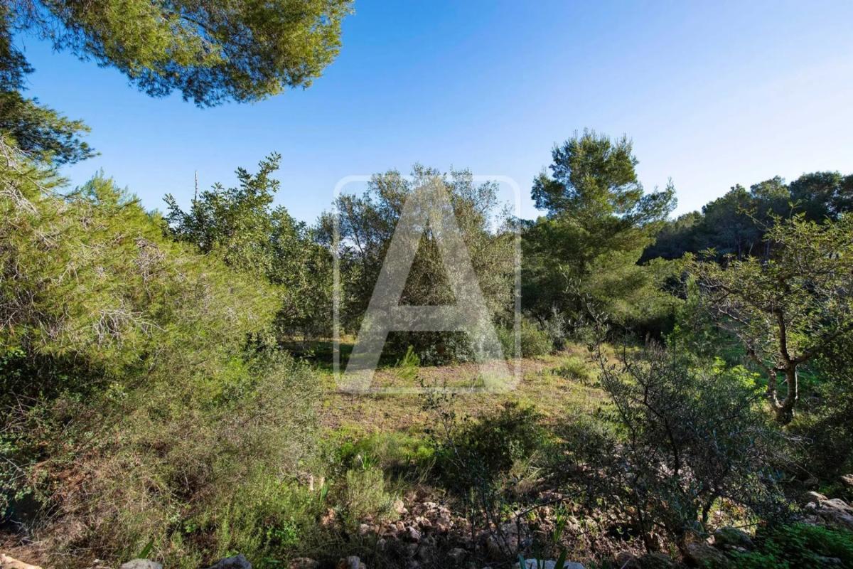 Venta de chalet independiente en Cala Advocat - Baladrar, Benissa
 photo 2