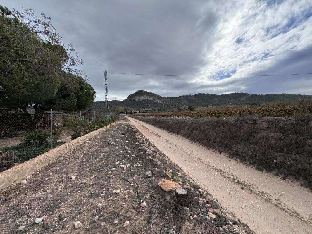 Venta de finca rústica en  Peña Rubia , Villena photo 3