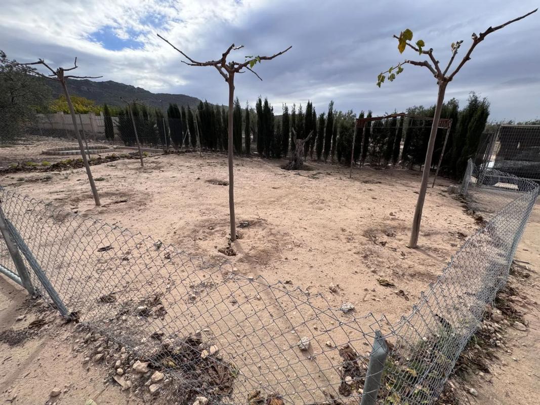 Venta de finca rústica en  Peña Rubia , Villena photo 4