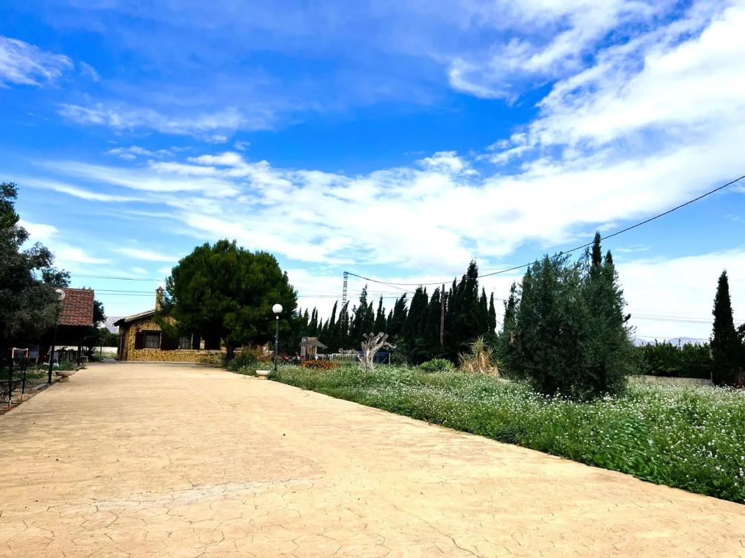 Sale of independent chalet in Carretera de la Matanza s/n, Benferri
photo 3
